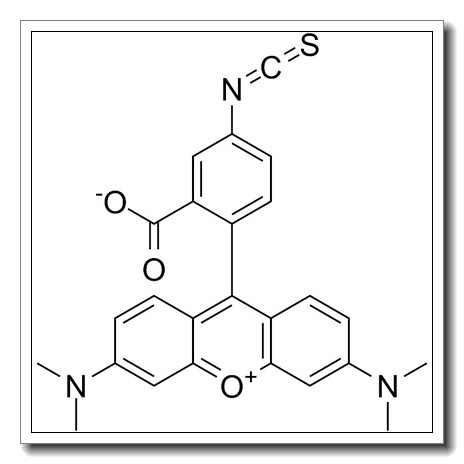 四甲基罗丹明-5-异硫氰酸酯