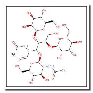 Man-2b N-Glycan