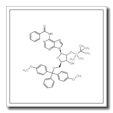 N-[9-[(2R,3R,4R,5R)-5-[[bis(4-methoxyphenyl)-phenylmethoxy]methyl]-3-[tert-butyl(dimethyl)silyl]oxy-4-hydroxyoxolan-2-yl]purin-6-yl]benzamide CAS 81265-93-2
