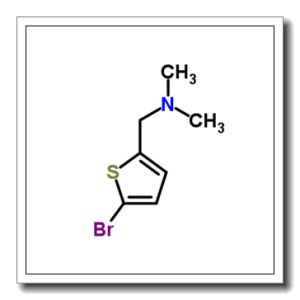 1-(5-Bromo-2-thienyl)-N,N-dimethylmethanamine