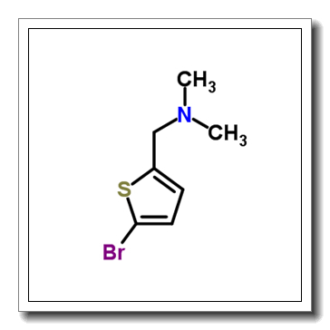 1-(5-Bromo-2-thienyl)-N,N-dimethylmethanamine