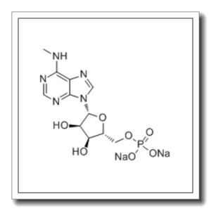N6-甲基腺苷 5′-单磷酸酯钠盐