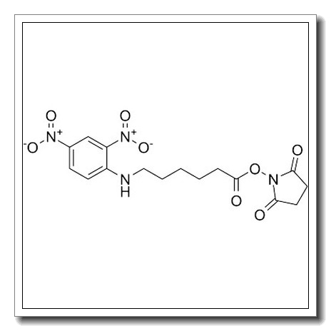 6-(2,4-二硝基苯胺基)己酸 N-琥珀酰亚氨基酯