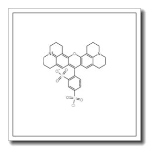 磺基罗丹明101 磺酰氯