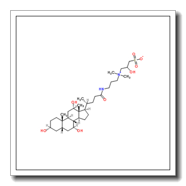 3-[(3-Cholamidopropyl)dimethylammonio]-2-hydroxy-1-propanesulfonate CAS 82473-24-3