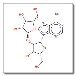 2′-O-a-D-Ribofuranosyladenosine