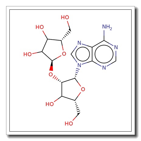 2′-O-a-D-Ribofuranosyladenosine