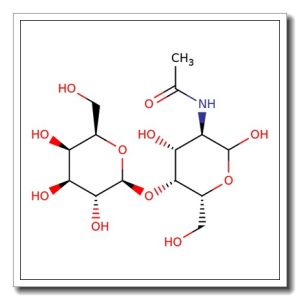 2-Acetamido-2-deoxy-4-O-(b-D-galactopyranosyl)-D-galactopyranose