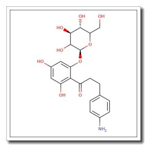 4-Aminophlorizin
