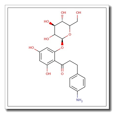 4-Aminophlorizin