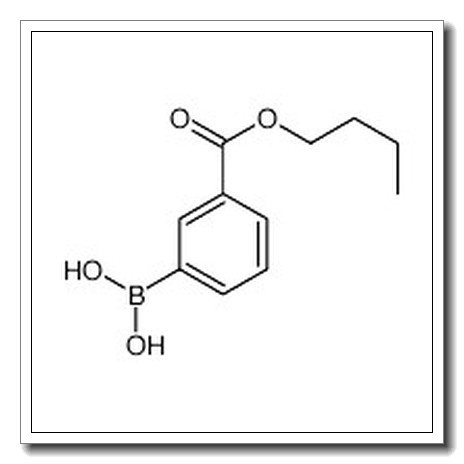 (3-butoxycarbonylphenyl)boronic acid CAS 827300-04-9 