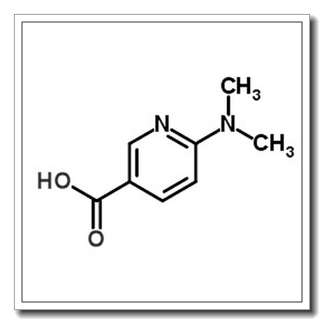 6-(dimethylamino)pyridine-3-carboxylic acid CAS 82846-28-4 