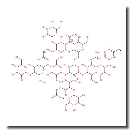 NA3 N-Glycan