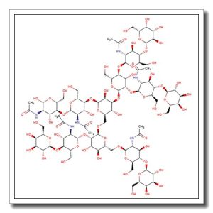 NA4 N-Glycan