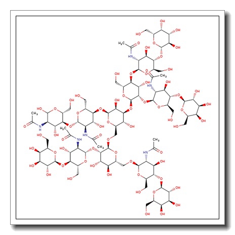 NA4 N-Glycan