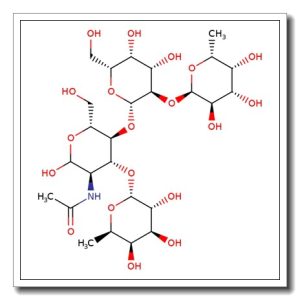 Lewis Y tetrasaccharide