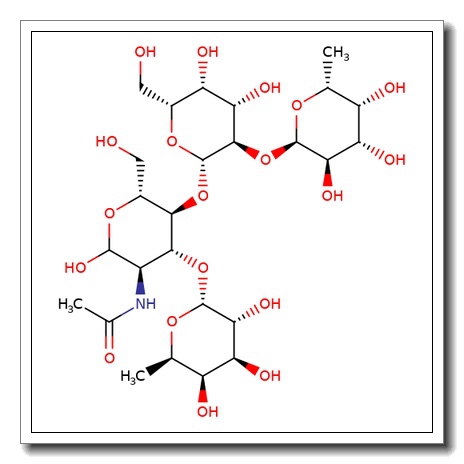 Lewis Y tetrasaccharide