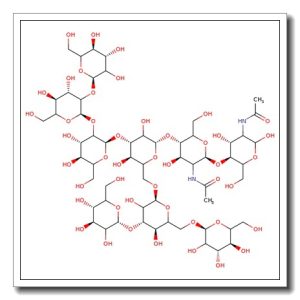 Man-7D1 N-Glycan