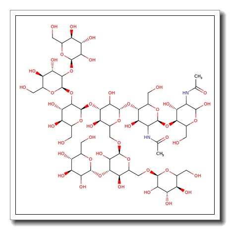 Man-7D1 N-Glycan