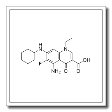 5-Amino-7-(cyclohexylamino)-1-ethyl-6-fluoro-4-oxo-1,4-dihydroquinoline-3-carboxylic acid CAS 836620-48-5