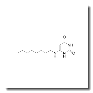 6-非洲统一组织