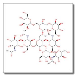 Hybrid N-Glycan