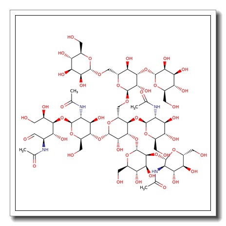 Hybrid N-Glycan