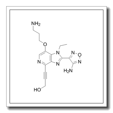 AKT 激酶抑制剂