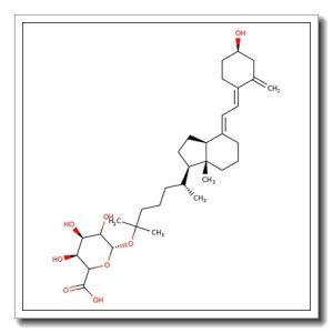 5-Hydroxyvitamin D3 25-glucuronide