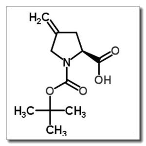 N-Boc-4-亚甲基-L-脯氨酸