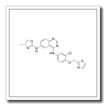 4-N-[3-chloro-4-(1,3-thiazol-2-ylmethoxy)phenyl]-6-N-[(4R)-4-methyl-4,5-dihydro-1,3-oxazol-2-yl]quinazoline-4,6-diamine CAS 845272-21-1