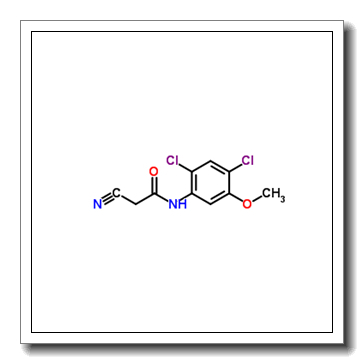 2-cyano-N-(2,4-dichloro-5-methoxyphenyl)acetamide CAS 846023-24-3