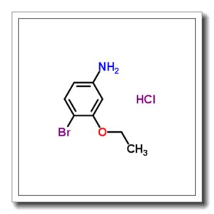 4-溴-3-乙氧基苯胺 盐酸盐