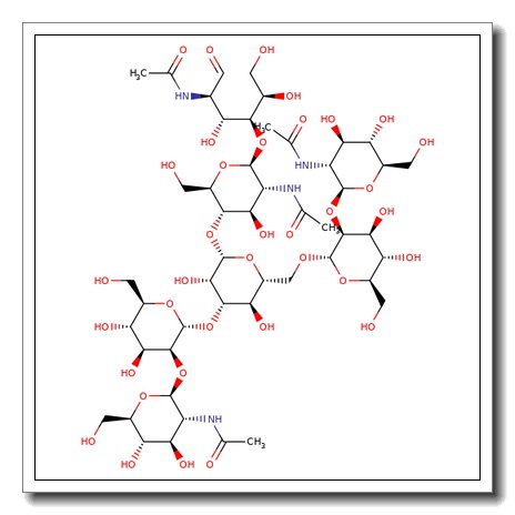 NGA2 N-Glycan