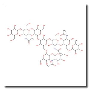 G-NGA2F N-Glycan