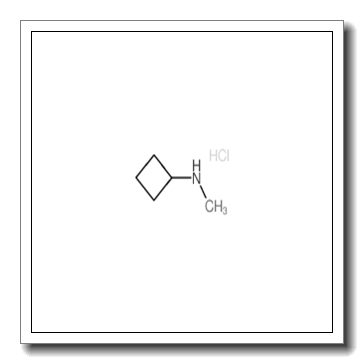 N-methylcyclobutanamine,hydrochloride CAS 848497-98-3