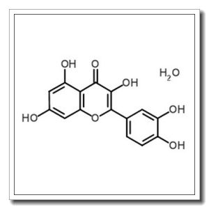 槲皮素水合物