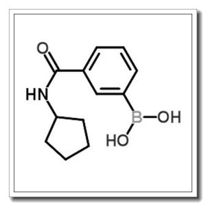 3-(环戊基氨基羰基)苯硼酸