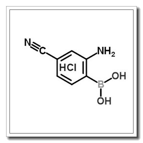 (2-amino-4-cyanophenyl)boronic acid,hydrochloride CAS 850568-47-7 