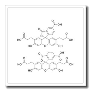 2,7-双(2-羧基乙基)-5(6)-羧基荧光素