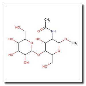 Methyl a-N-acetyllactosamine