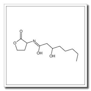 3-hydroxy-N-(2-oxooxolan-3-yl)octanamide