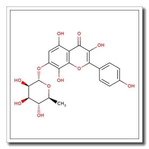 Rhodionin