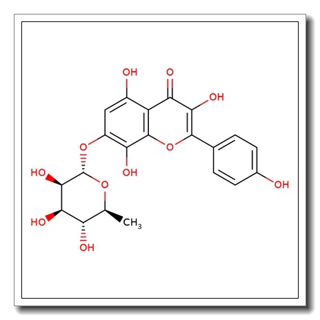 Rhodionin