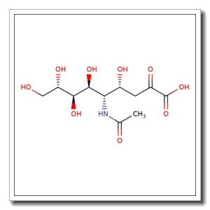 N-Acetyl-L-neuraminic acid