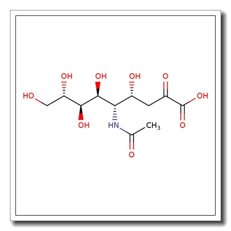 N-Acetyl-L-neuraminic acid