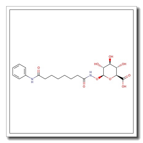 Suberoylanilide hydroxamic acid b-D-glucuronide