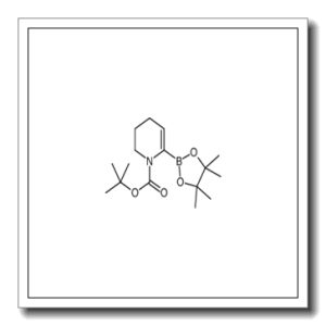 N-叔丁氧羰基-3,4-二氢吡啶-6-硼酸频哪醇酯