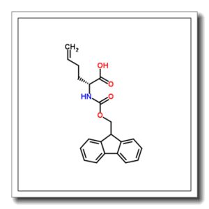 (R)N-芴甲氧羰基-2-(3′-丁基)甘氨酸