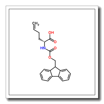 (R)N-芴甲氧羰基-2-(3′-丁基)甘氨酸
